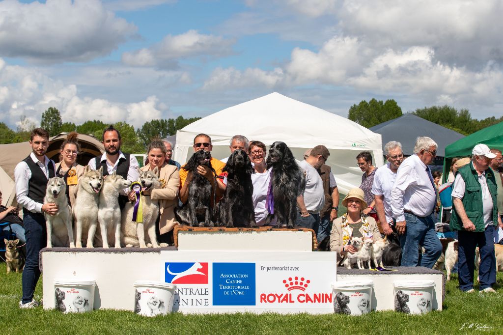 du Clos Maldav - Expo nationale - Agnetz (26/05/24)