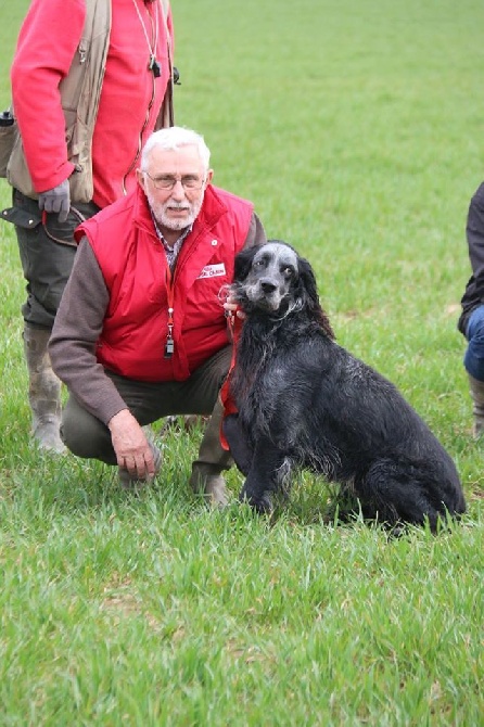 du Clos Maldav - Champion de France Field-Trial de Printemps