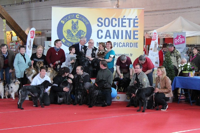 du Clos Maldav - Expo Internationale d'Amiens (01/05/16)