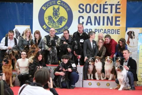 du Clos Maldav - Expo Nationale de Flixecourt 1/03/2015